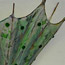 image05