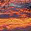image12