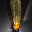 Sculptural Lightings