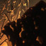 Sculptural Lighting
